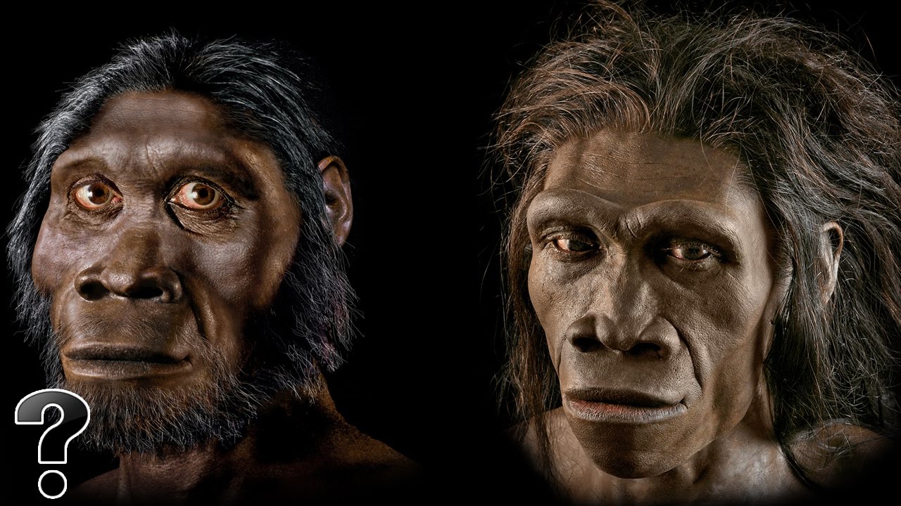 Did Humans Evolve From Apes? | Amazing Science Facts